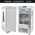上海龙跃YQX-Ⅱ厌氧试验箱 实验室厌氧培养箱 微生物厌氧培养箱 5