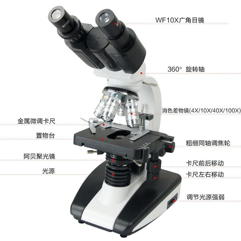 供应广州越特1600/2000x实验教学细胞水产双目生物显微镜XSP-2CA