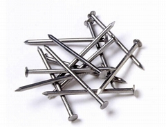 Common Round Nail