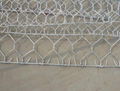 Hexagonal Opening Gabion Mesh 2