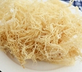 进口江蓠菜龙须菜麒麟菜