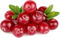 Cranberry Extract