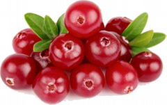 Cranberry Extract