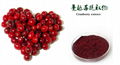 Cranberry Extract 3