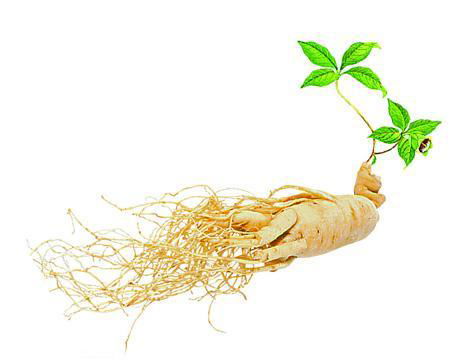 Ginseng Leaf Extract 5