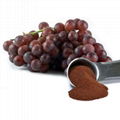 Grape seed extract