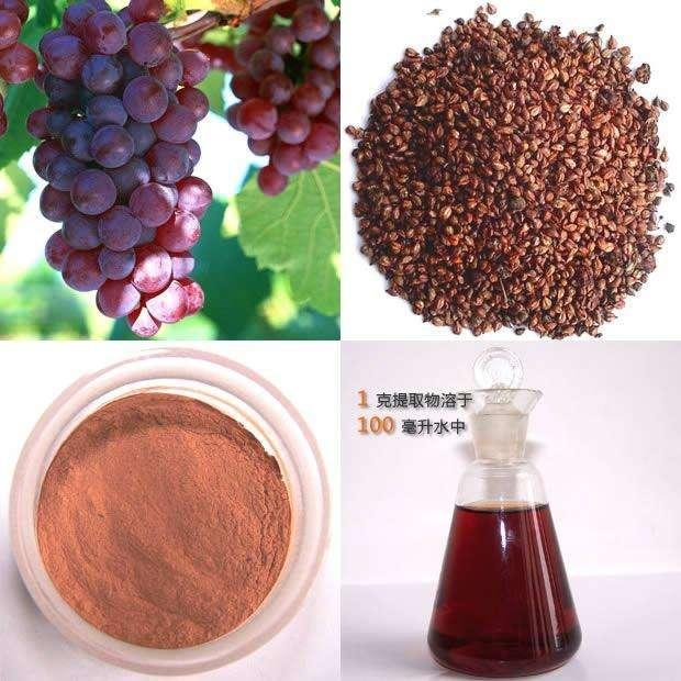 Grape seed extract 2