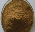 maca root extract