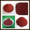 Red yeast rice extract