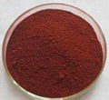 Red yeast rice extract 3