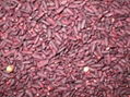 Red yeast rice extract 4