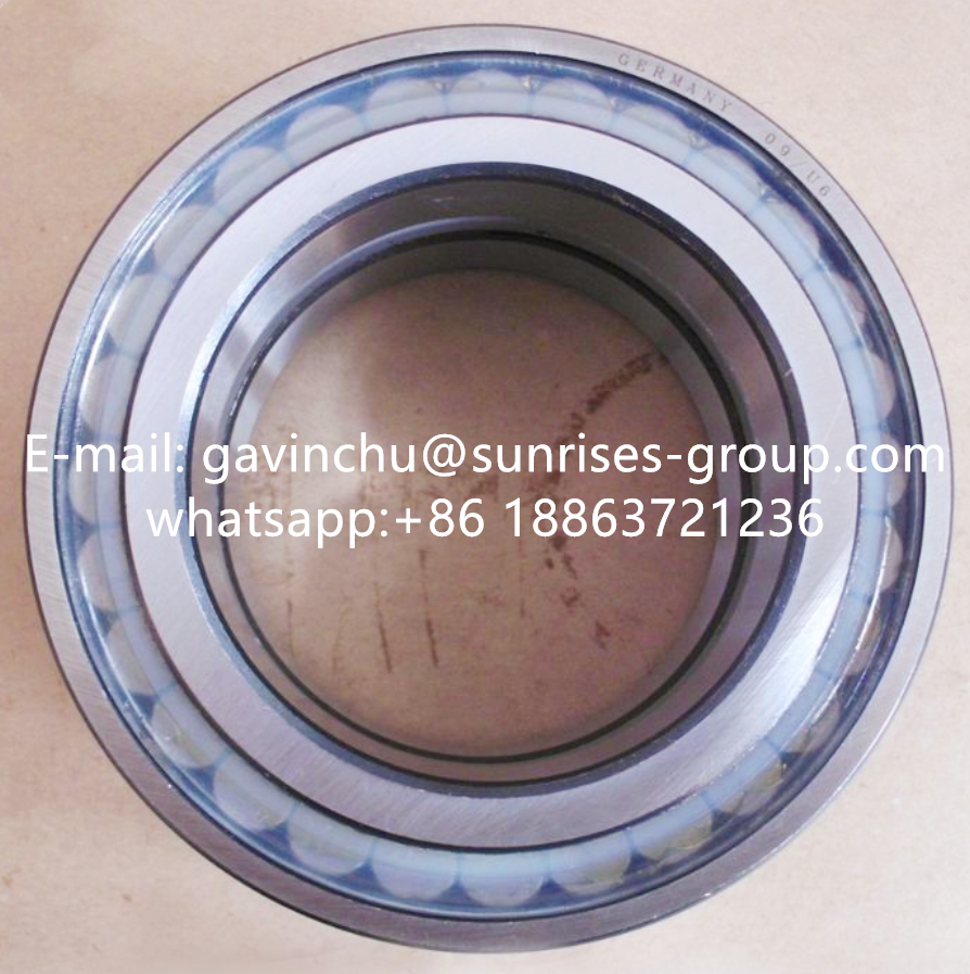 SL04-5013 PP 65mmx100mmx46mm full complement cylindrical roller bearing 2