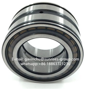SL04-5013 PP 65mmx100mmx46mm full complement cylindrical roller bearing 3