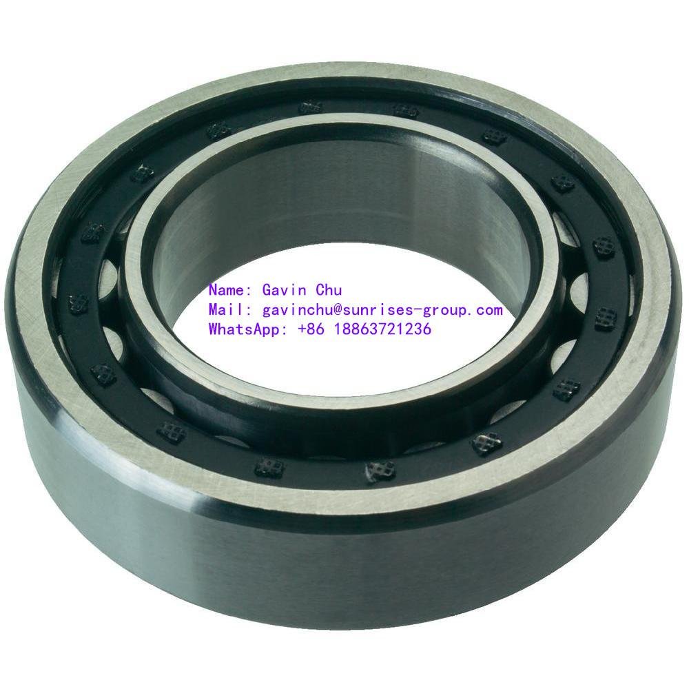 NUP315 ECM 75mmx160mmx37mm single row cylindrical roller bearings 4