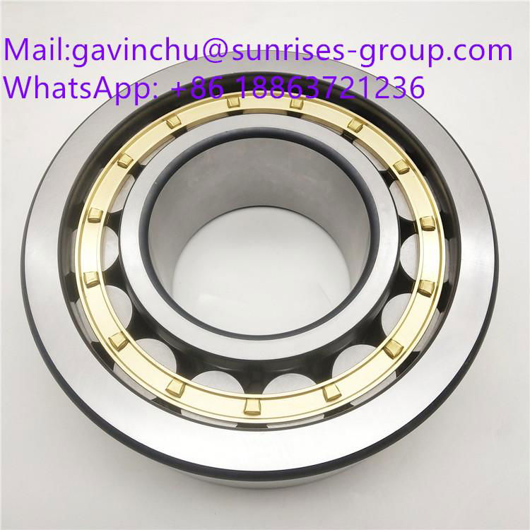 NJ313E MP1A C3 140mmx65mmx33mm cylindrical roller bearings  2