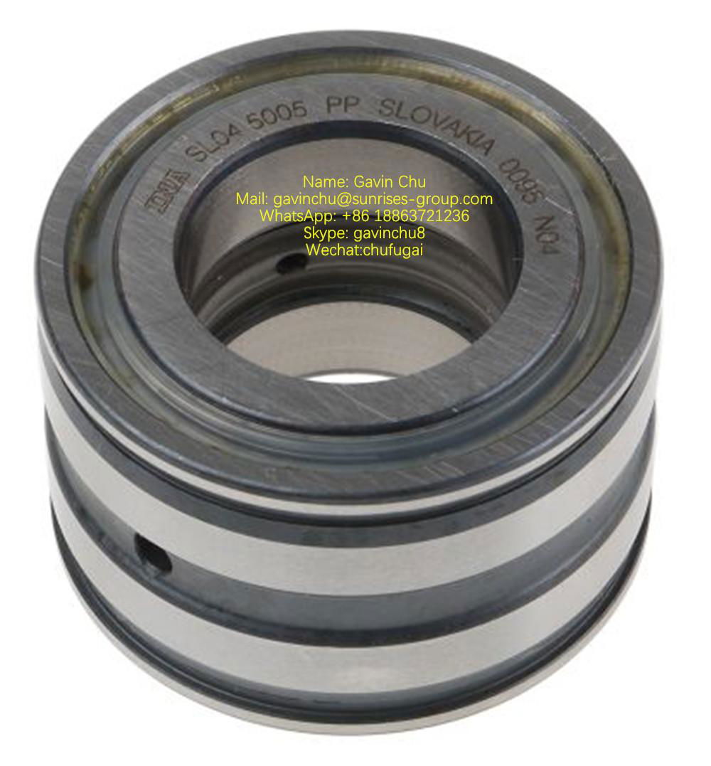 SL045006-PP 30mmx55mmx34mm double row full complement cylindrical roller bearing 4