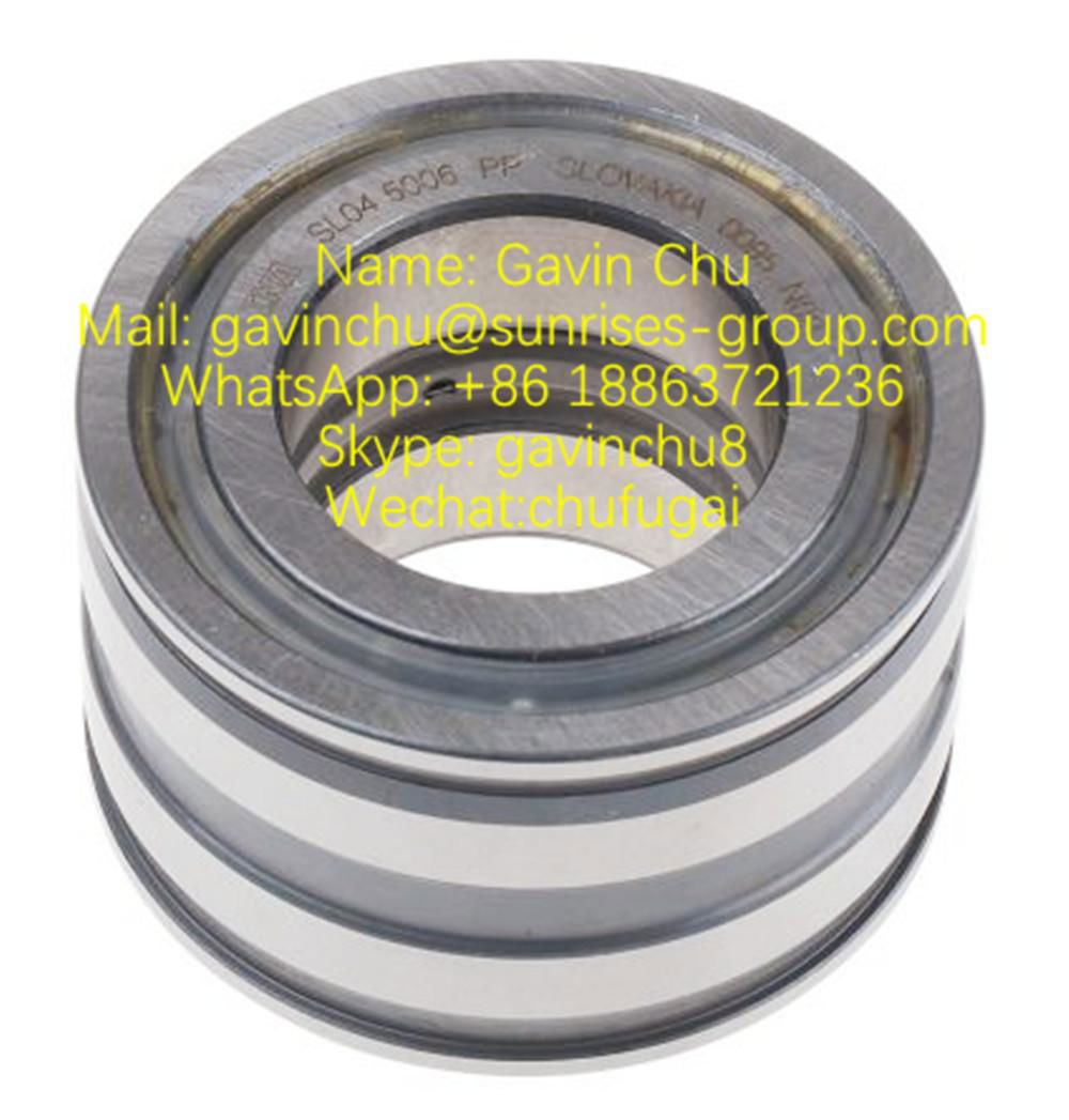 SL045006-PP 30mmx55mmx34mm double row full complement cylindrical roller bearing