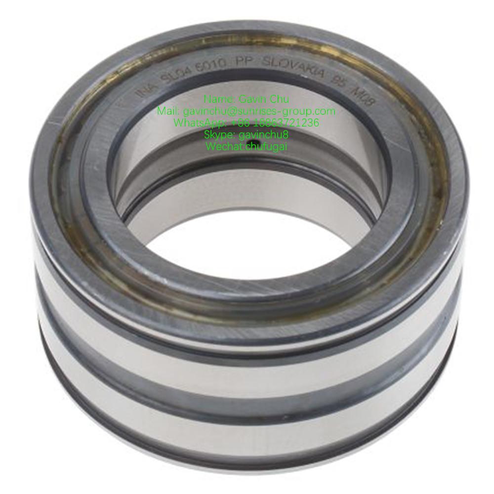 SL045006-PP 30mmx55mmx34mm double row full complement cylindrical roller bearing 5