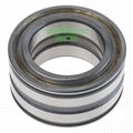 SL045006-PP 30mmx55mmx34mm double row full complement cylindrical roller bearing 5