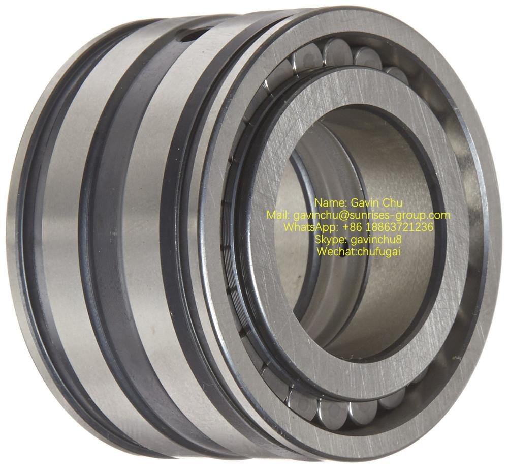 SL045006-PP 30mmx55mmx34mm double row full complement cylindrical roller bearing 2