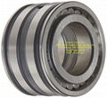 SL045006-PP 30mmx55mmx34mm double row full complement cylindrical roller bearing 2