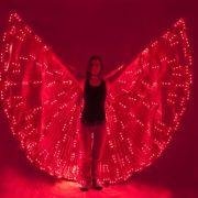 LED lighting butterfly dancing dress/costumes  2