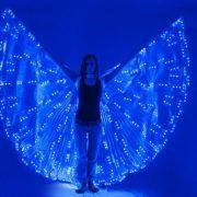 LED lighting butterfly dancing dress/costumes  3