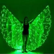 LED lighting butterfly dancing dress/costumes  4