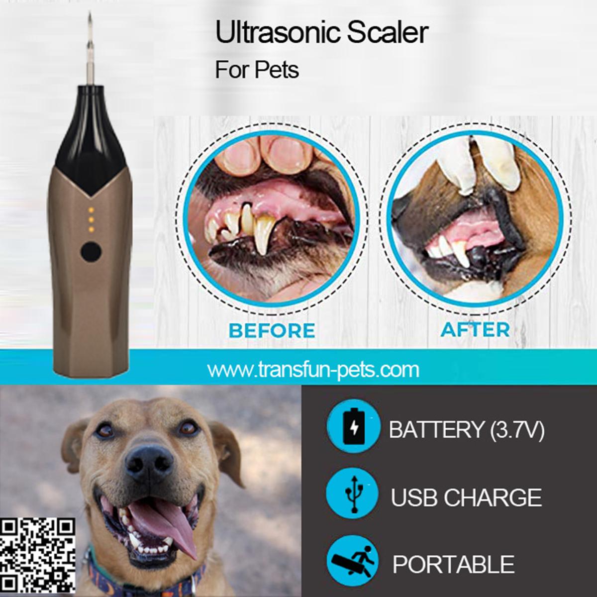 Portable Ultrasonic Scaler Tooth Cleaning 8W Calculus Remover Stains Tartar Scra 3