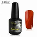 RONIKI Diamond Cat Eye Gel Polish 3