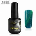 RONIKI Diamond Cat Eye Gel Polish 4