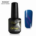 RONIKI Hot Flame Cat Eye Gel Polish 1