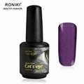 RONIKI Magic Box Cat Eye Gel Polish 1