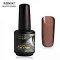 RONIKI Magic Box Cat Eye Gel Polish 3