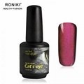 RONIKI Magic Box Cat Eye Gel Polish 4