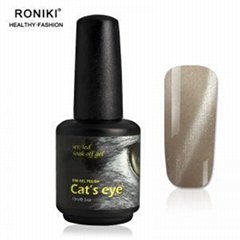Magnetic Cat Eye Gel Polish
