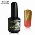 RONIKI Color Changing Cat Eye Gel