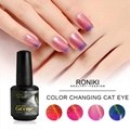 RONIKI Color Changing Cat Eye Gel 2