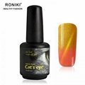 RONIKI Color Changing Cat Eye Gel 3