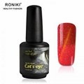 RONIKI Color Changing Cat Eye Gel 5