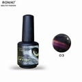 RONIKI 3D Cat Eye Gel Polish 2