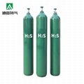 Hydrogen sulfide gas  1