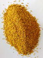 BEE POLLEN HIGH PROTEIN CHINA WHOLESALER