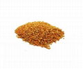 BEE POLLEN HIGH PROTEIN CHINA WHOLESALER