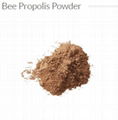 flavone propolis powder cheap price wholesale from china 1