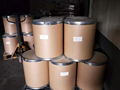 flavonoid propolis extract powder 60% content wholesale price 