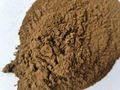 Supplying Bee Propolis Powder 60% P.E. 5:1 