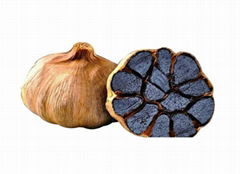 Black Garlic Extract