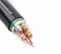 Five-Core PVC Insulated Power Cable 1