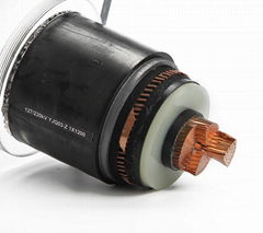 220 KV XLPE Insulated Power Cable